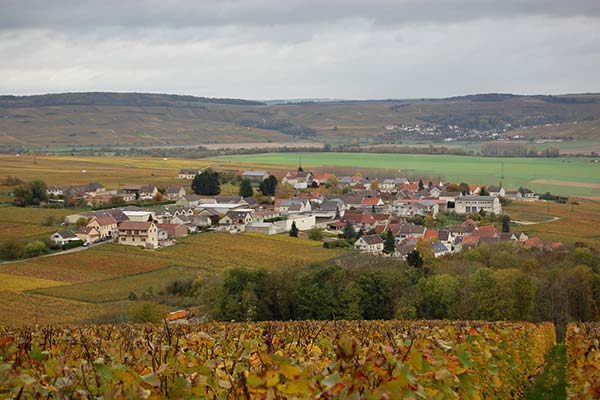 La propriété Champagne Mathelin